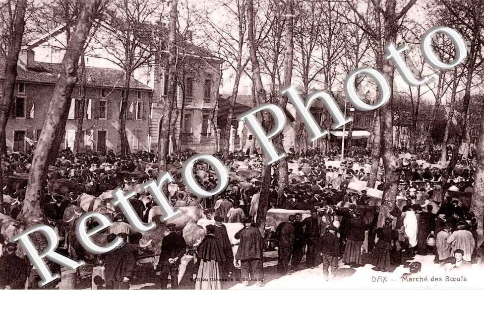 MARCHE AUX BOEUFS