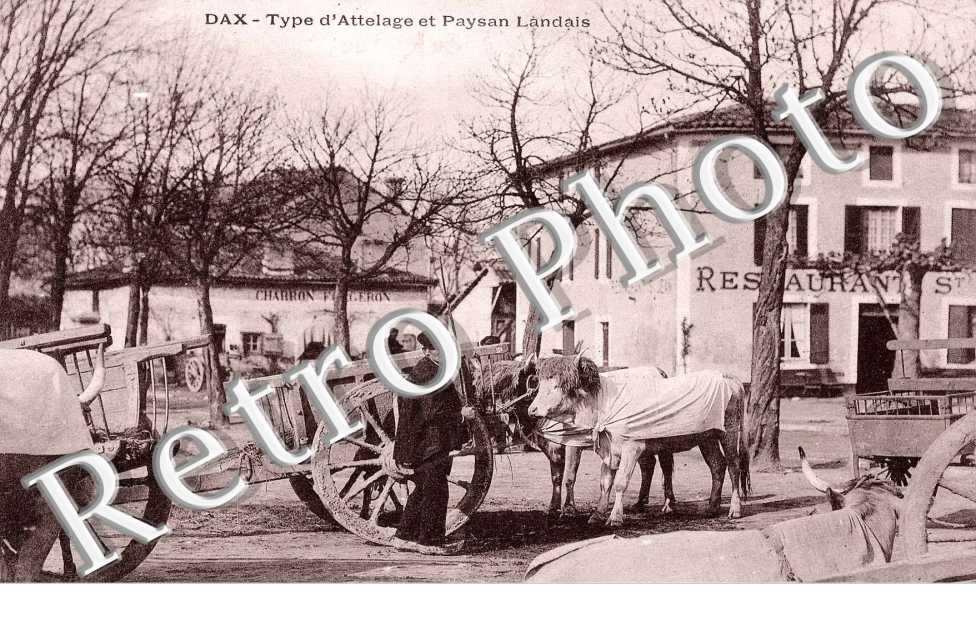 type d&#039;attelage et paysan landais (folklore)