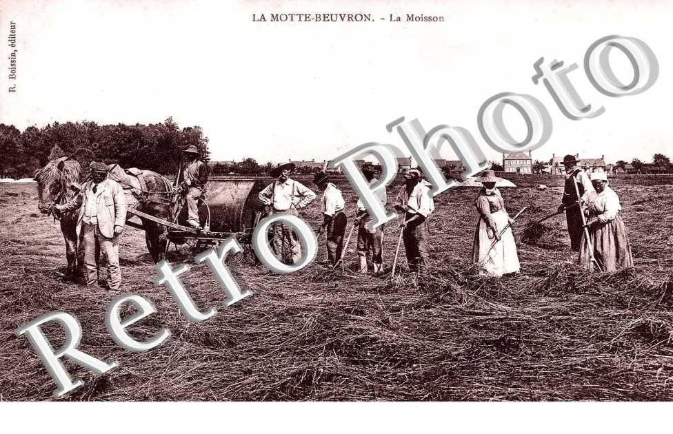 la moisson