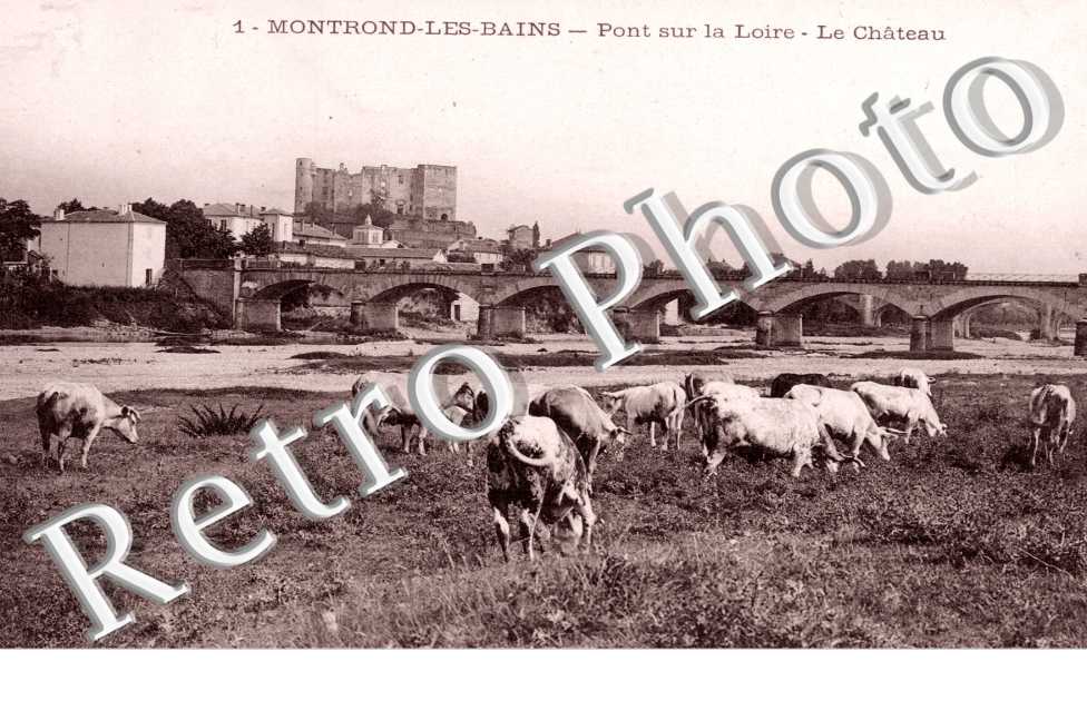 Pont sur la Loire, le Chateau