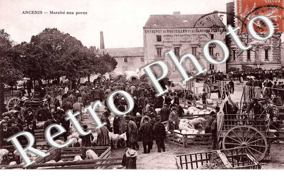 marche aux porcs