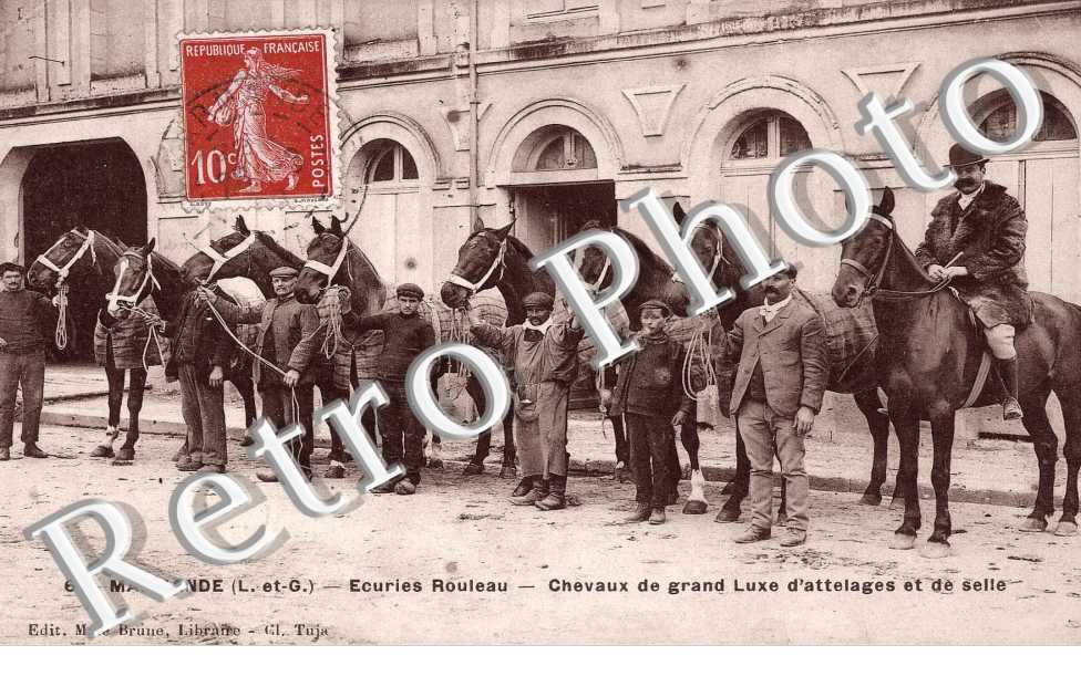 ecuriens Rouleau Chevaux de grand luxe d&#039;attelages et de selle