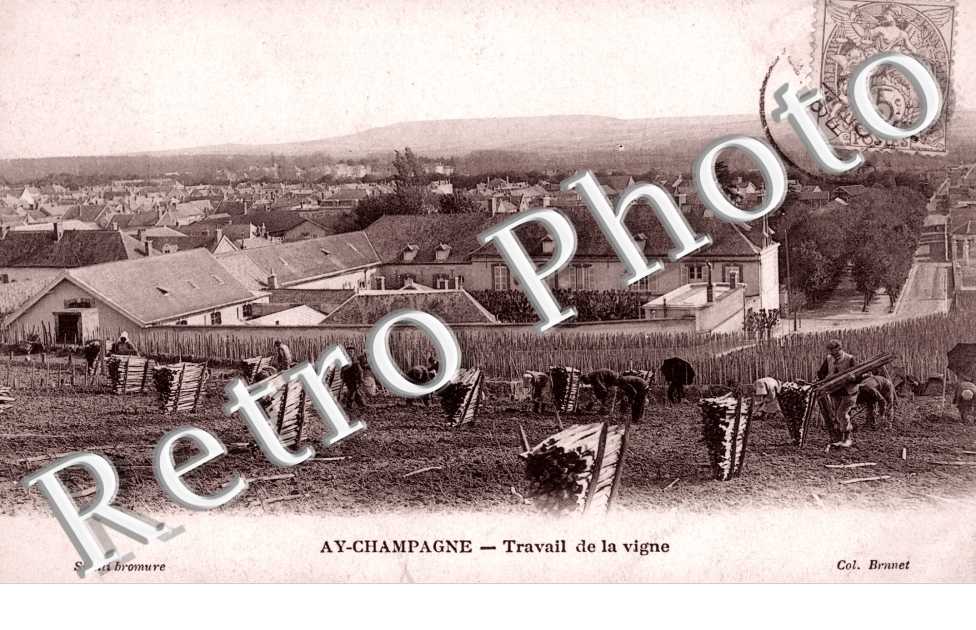 Travail de la Vigne