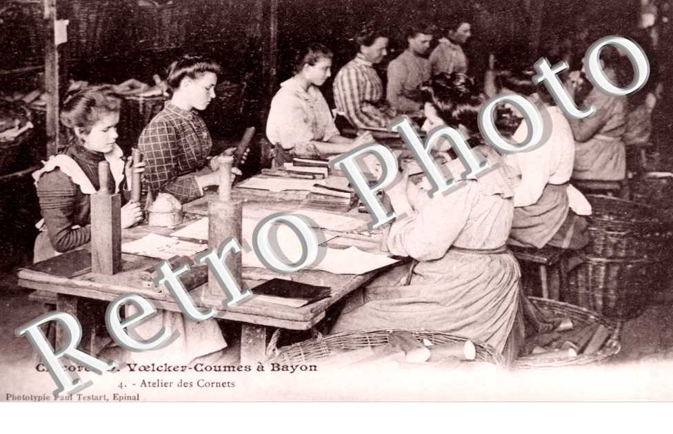 Chicoree D Voelcker-Coumes Atelier des Cornets