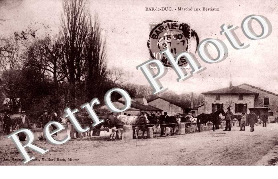 marche aux bestiaux