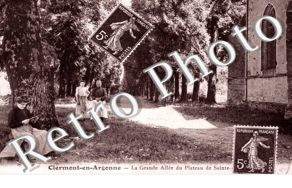 la grande Allee du plateau de Sainte Anne