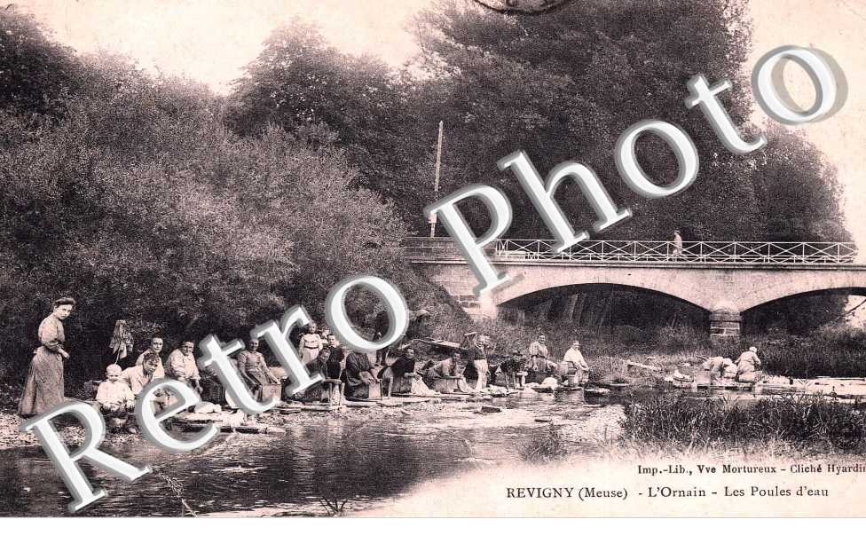L'ORNAIN-LES POULES D'EAU