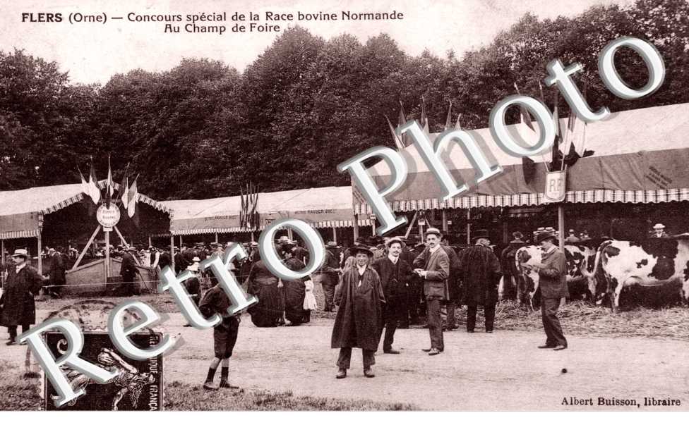 Concours special de la race bovine Normande, Au champ de Foire