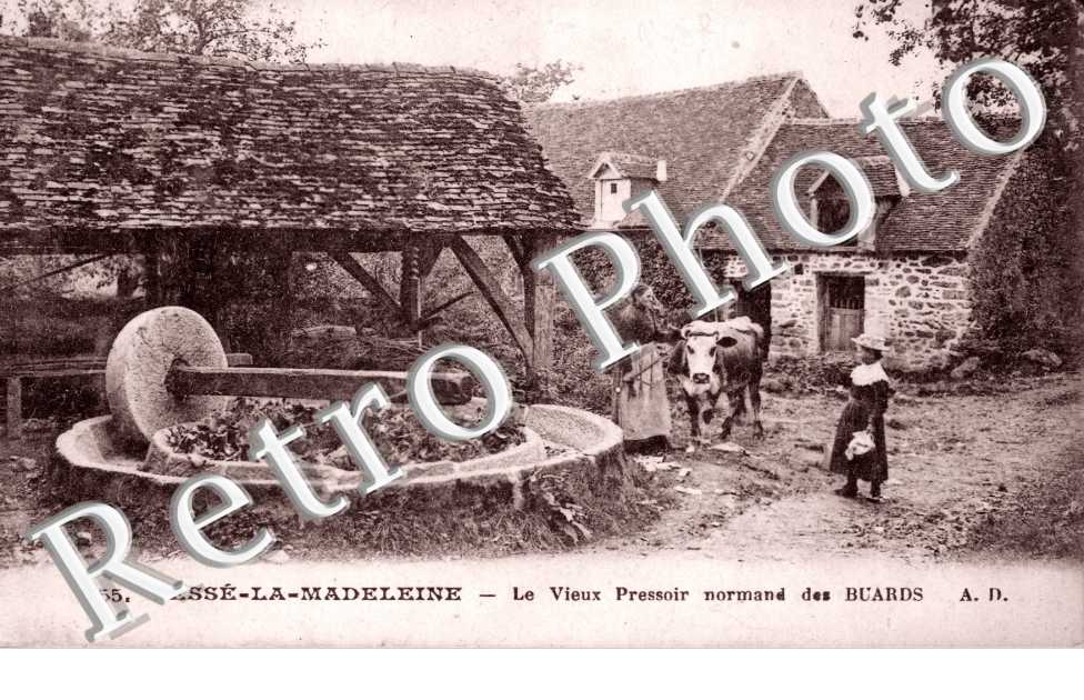 le vieux pressoir normand des buards