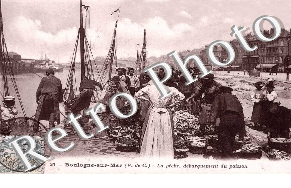 la peche, debarquement du poisson