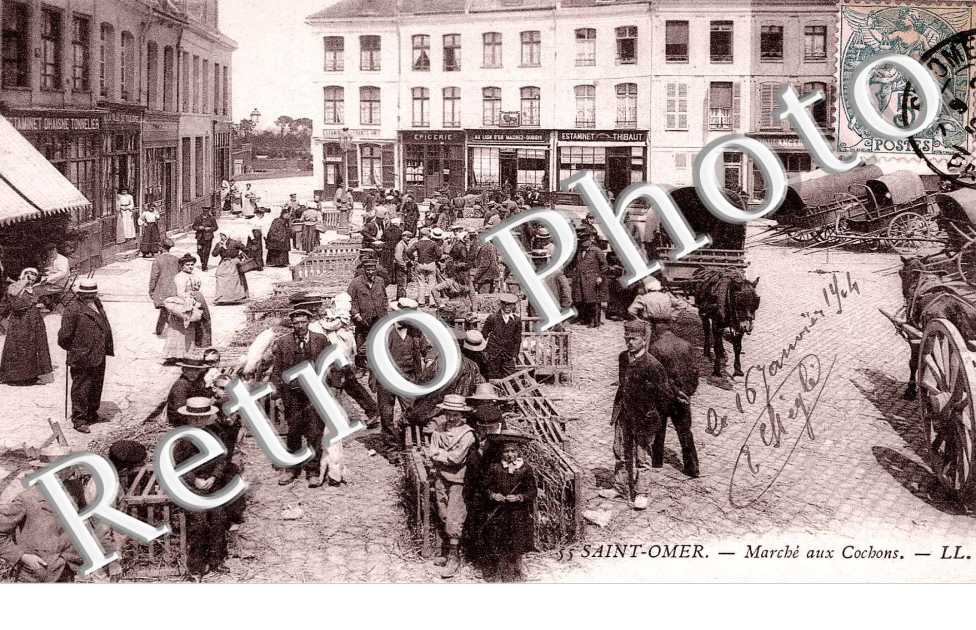 Marche aux cochons
