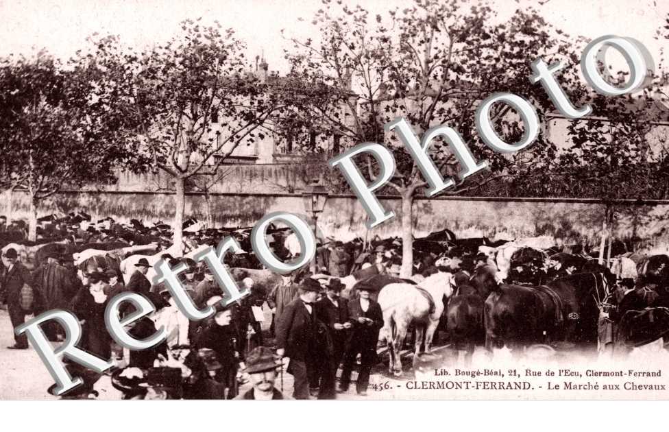 le Marche aux Chevaux