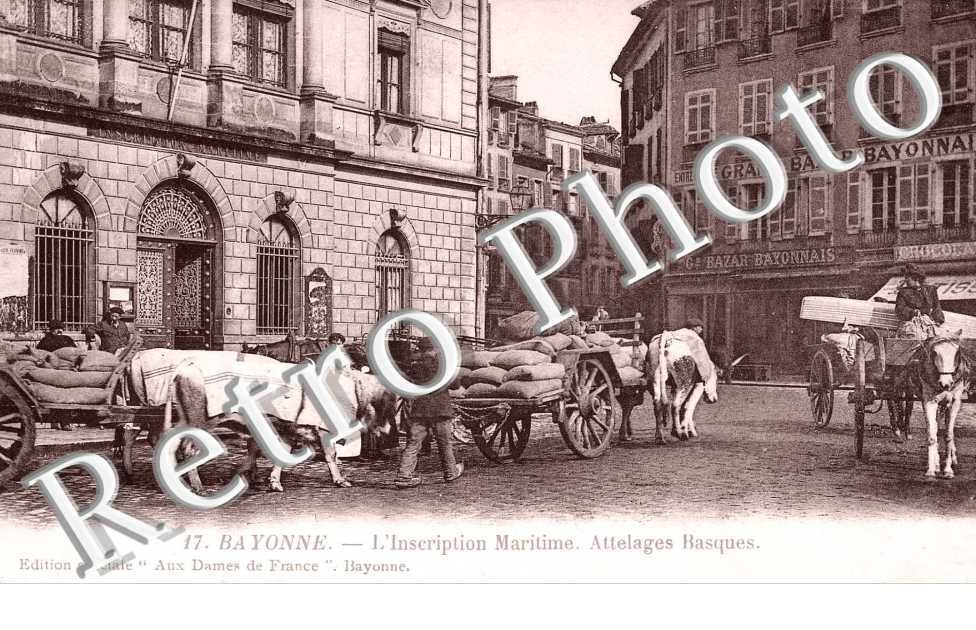 L' Inscription Maritime - Attelages Basques