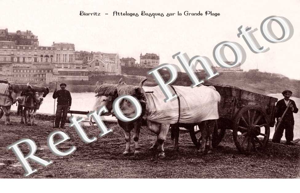 Attelages basques sur la Grande Plage