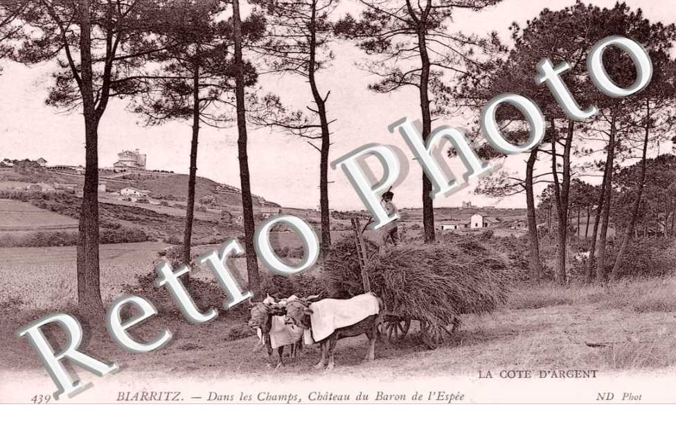 Dans les Champs, Chateau du Barron de l&#039;Espee