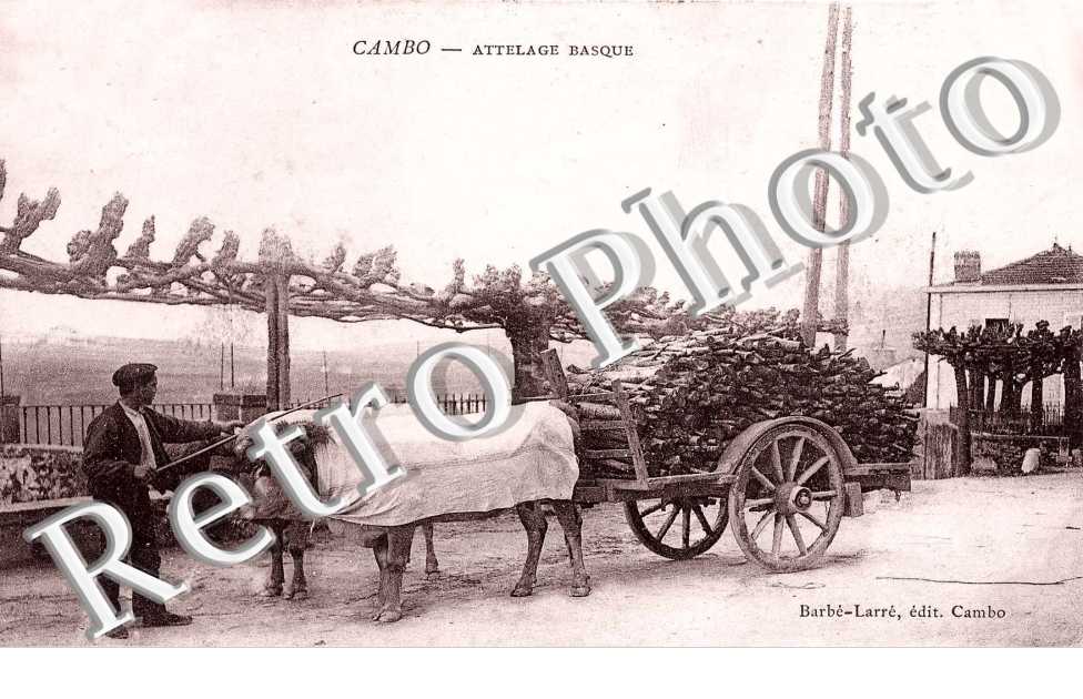 ATTELAGE  BASQUE