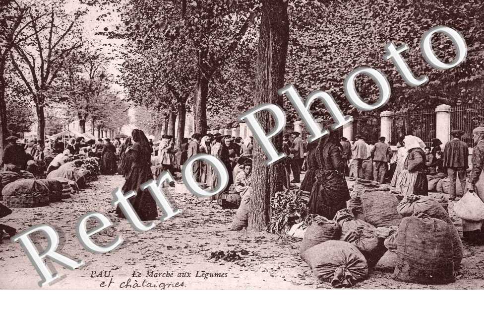 Le Marché aux Légumes