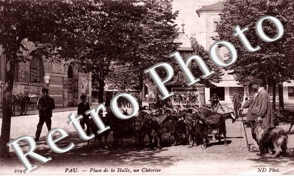 la Place de la Halle, un Chevrier