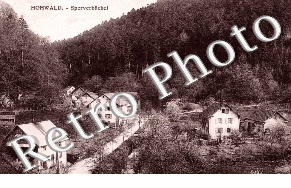 Sperverbachel