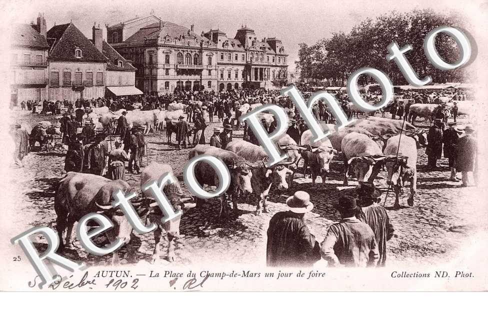 Place du champ de Mars  un jour de foire (betail)