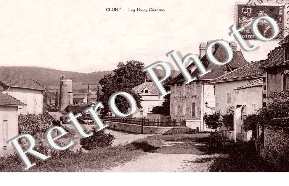 Le Haras, Direction