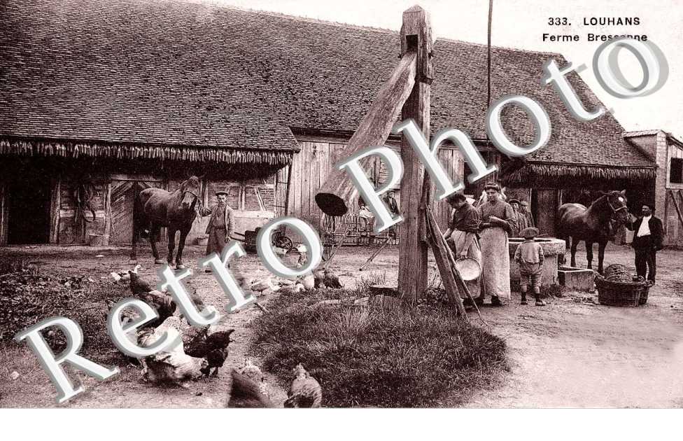 FERME BRESSANNE 