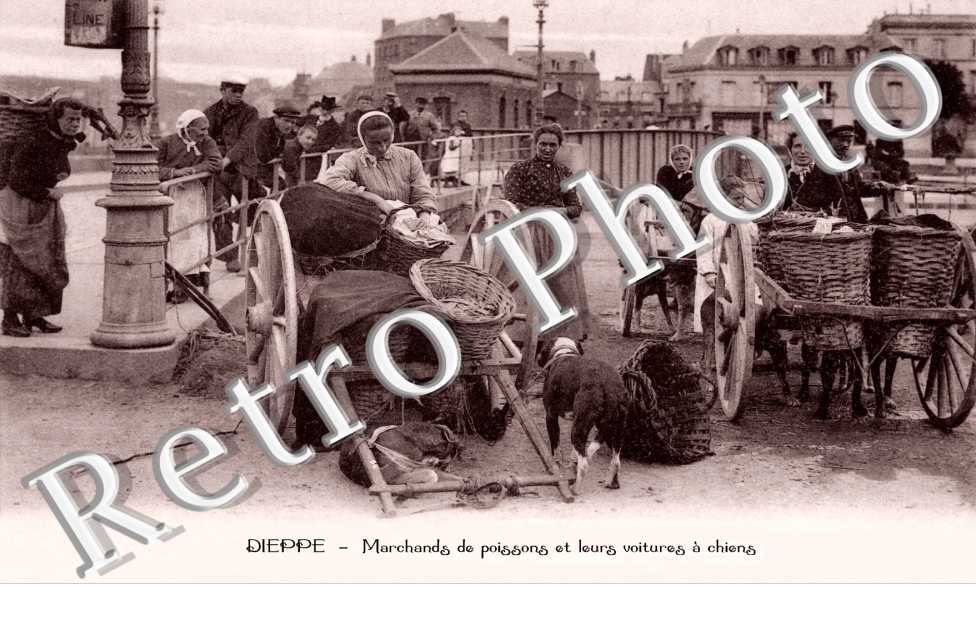 Marchands de poissons et leurs voitures a chiens