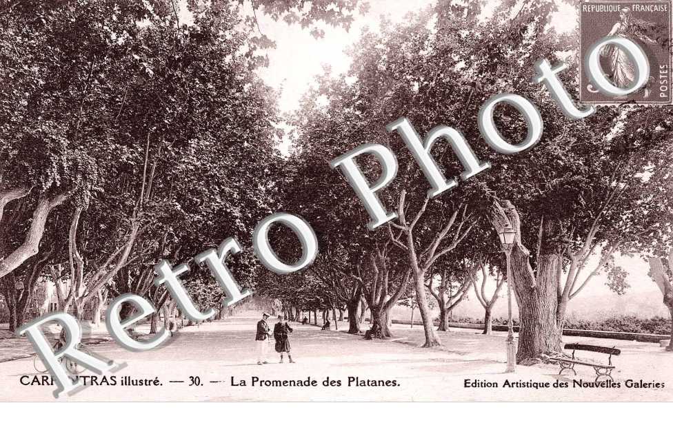 La Promenade des Platanes