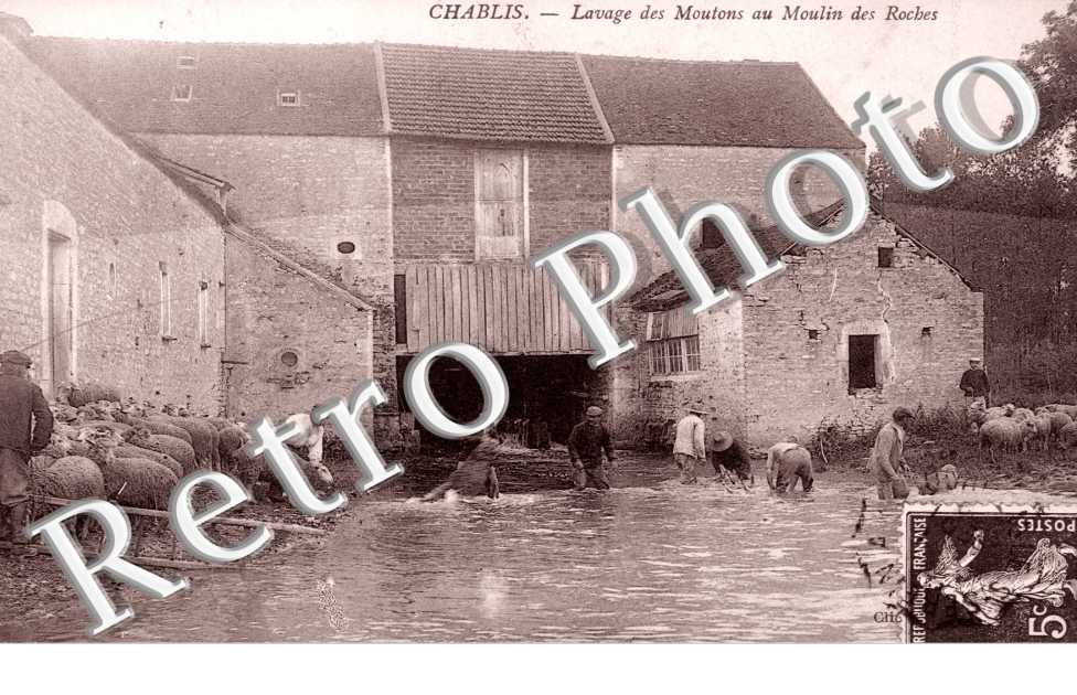 Lavage des Moutons au Moulin des Roches
