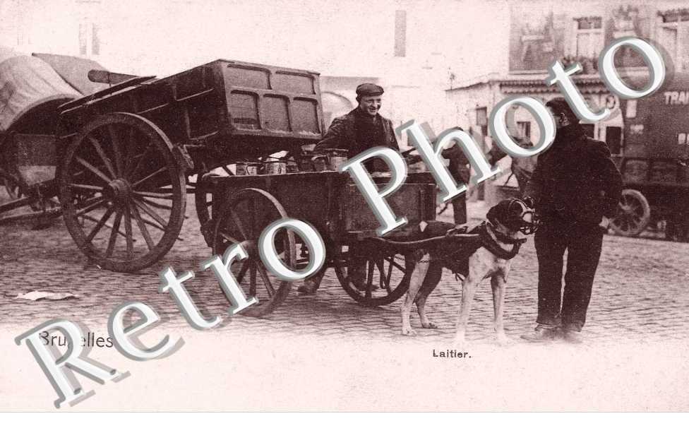laitier