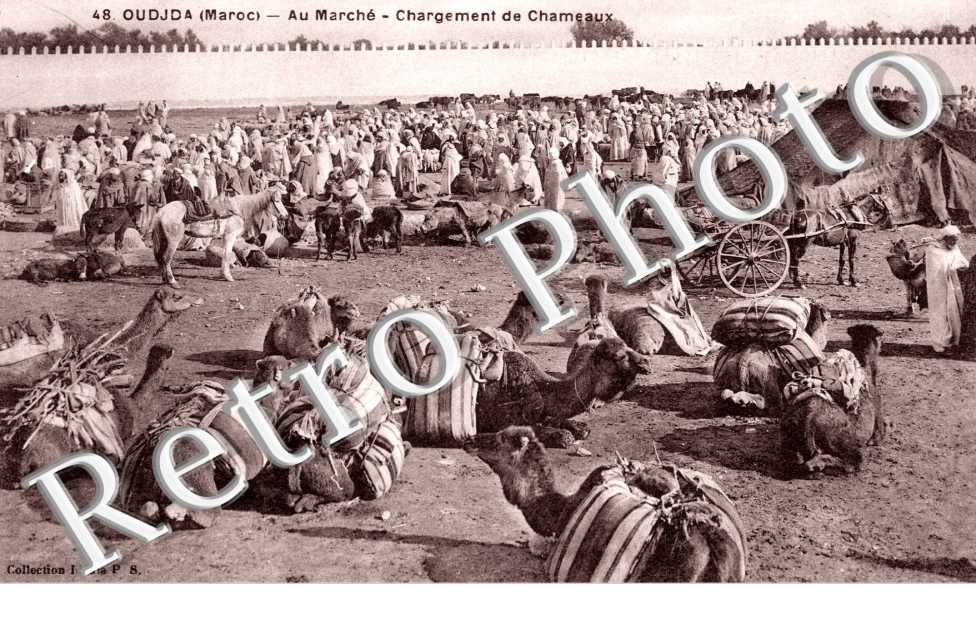 Marche, chargement de chameaux