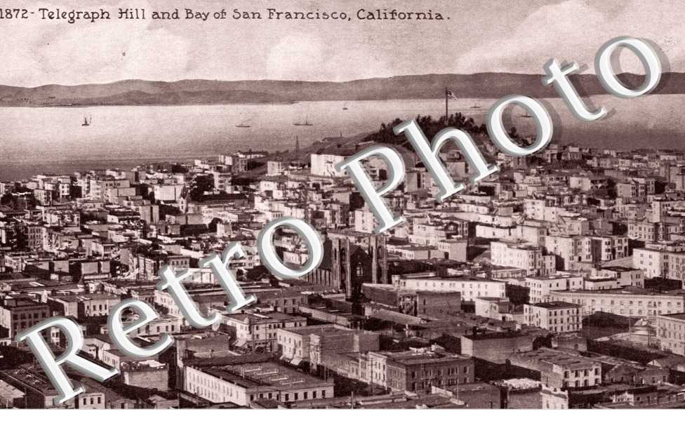Telegraph Hill and Bay of Francisco