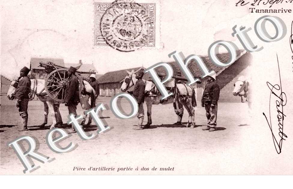 Piece d&#039;artillerie portee a dos de mulet
