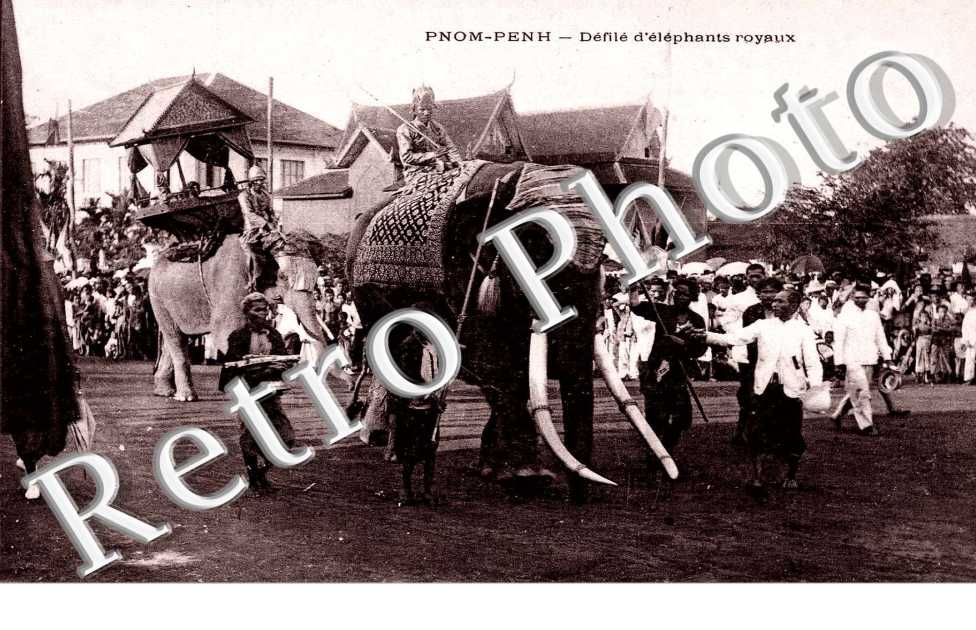 defile d&#039;elephants royaux