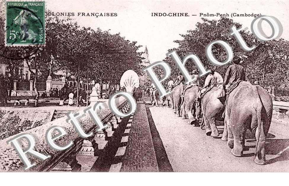 des elephants traversant la ville