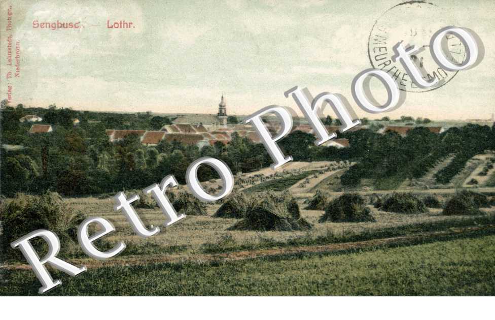 Vue generale