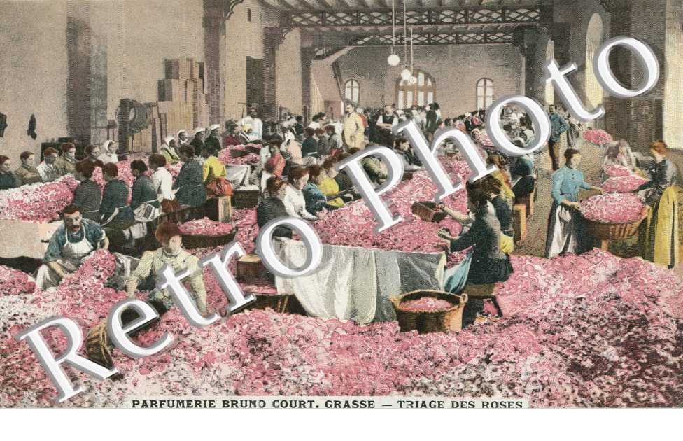 Parfumerie Bruno Court - Triage des Roses