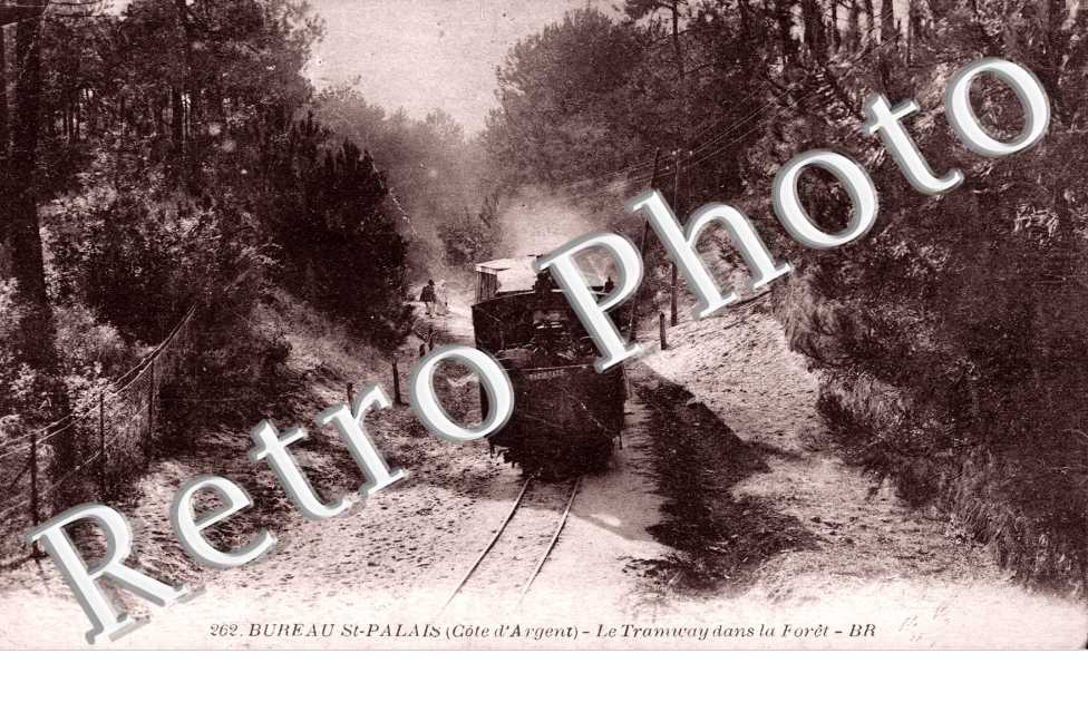 Le Tramway dans la Foret