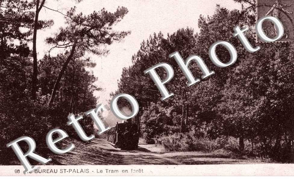 Le Tram en Foret
