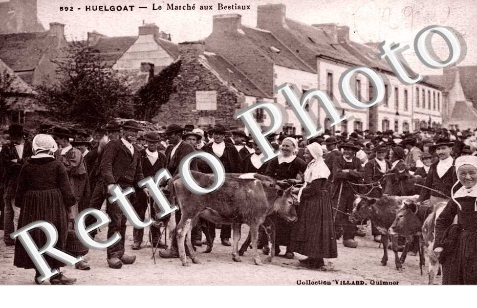 Le Marche aux Bertiaux
