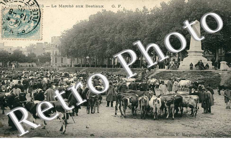 Le Marche aux Bestiaux