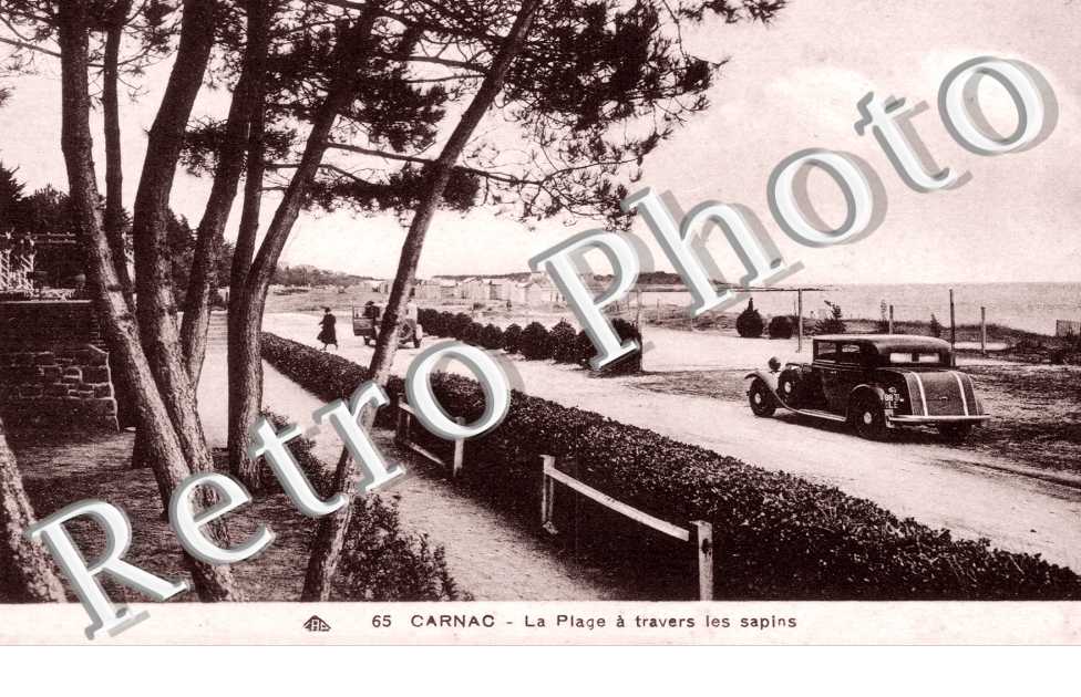 La Plage Travers les Sapins