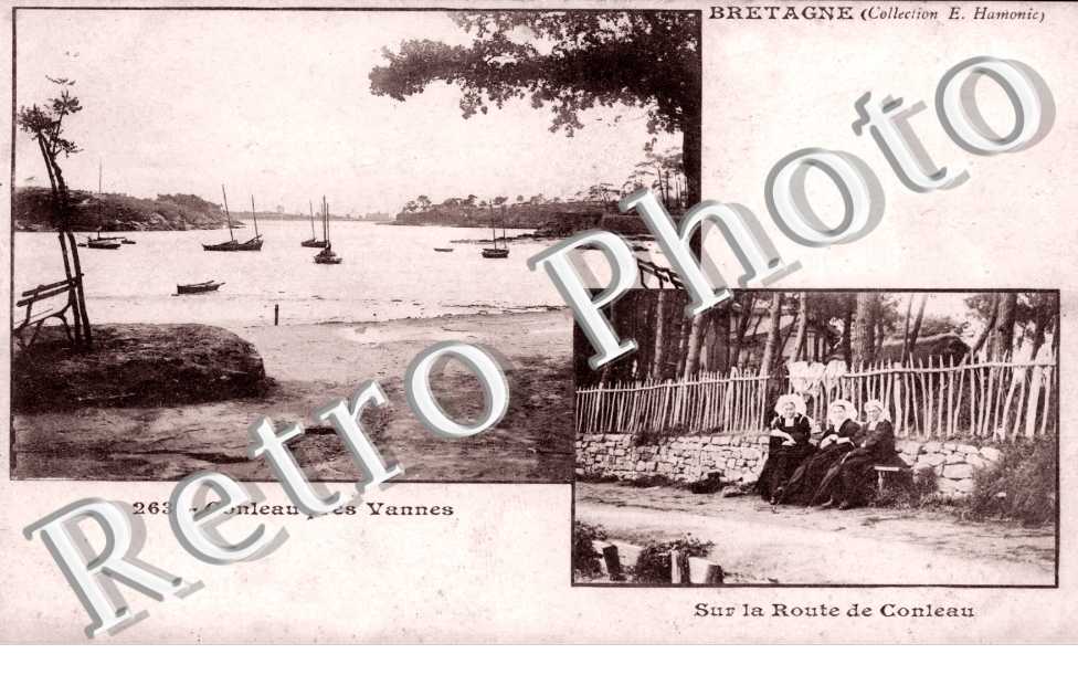 Conleau - La route de Conleau