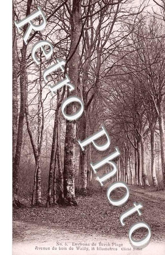 avenue du bois de Wailly