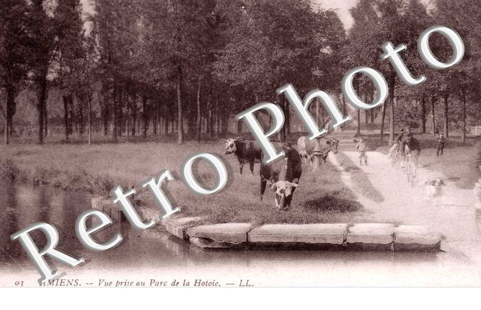 Vue prise au Parc de la Hotoie
