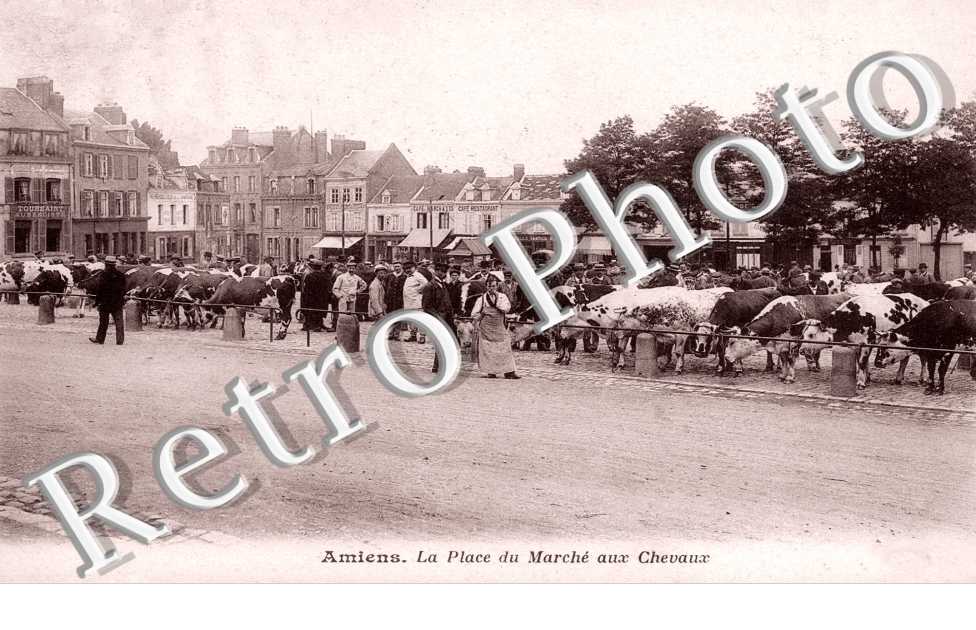 la Place du marche aux chevaux