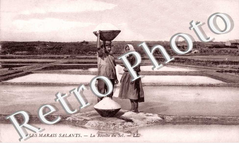 Les marais salants La recolte du sel