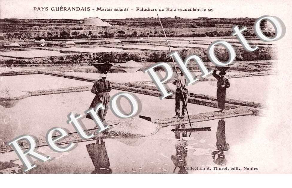 paludiers recueillant le sel