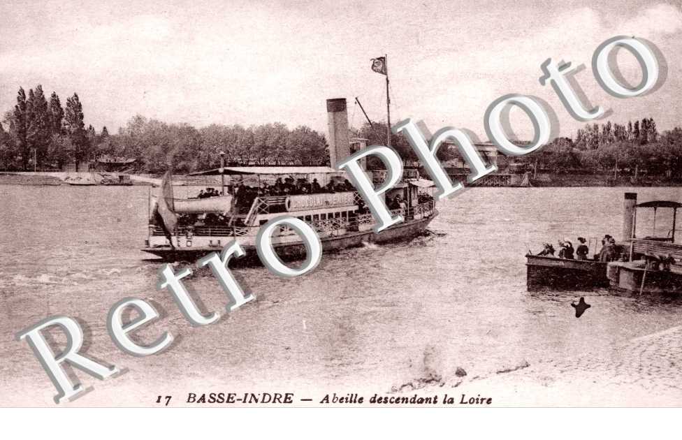 Abeille descendant la Loire
