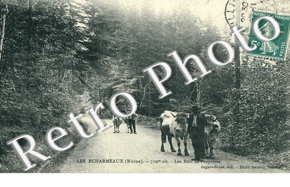 Les Echarmeaux Les bois de Propieres